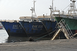 ������ ���� ������, �������, ������ 2011