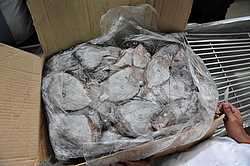 ������ ��������� - ������������ ���� � ������, �������, ������ 2011