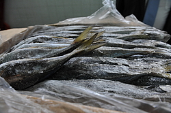 ������ ��������� - ������������ ���� � ������, �������, ������ 2011