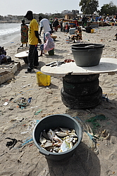 ���������� ������ ������������ �� �����, �������, ������ 2011