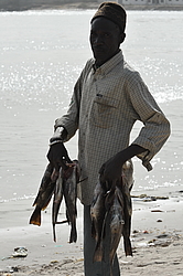 ���������� ������ ������������ �� �����, �������, ������ 2011