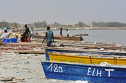 ������� ��������, �������, ������ 2011