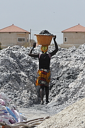 ������� ��������, �������, ������ 2011