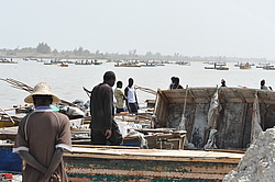 ������� ��������, �������, ������ 2011