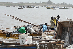 ������� ��������, �������, ������ 2011