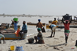 ������� ��������, �������, ������ 2011