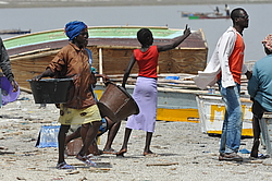 ������� ��������, �������, ������ 2011