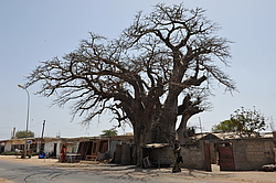 �����, �� ������ ������, �������, ������ 2011