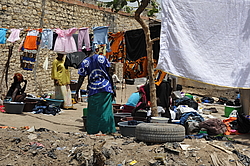 �����, ���� �� ������ ������. ������� ������, �������, ������ 2011