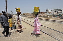 �����, ���� �� ������ ������. ������� ������, �������, ������ 2011