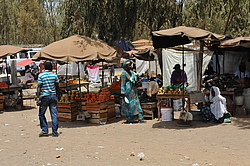 �� ������� �����, �������, ������ 2011