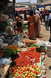 �� ������� �����, �������, ������ 2011