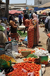 �� ������� �����, �������, ������ 2011