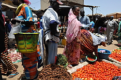 �� ������� �����, �������, ������ 2011