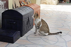 �����, ������������ ���������, �������, ������ 2011