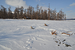 ���� �� ����