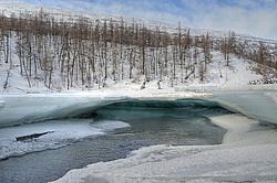 ������ ������� ����� ���