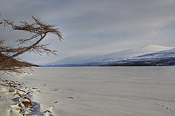 ������ ������� ����� ���