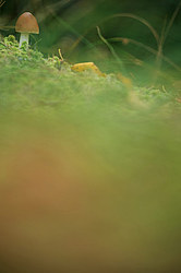 ������ ����, �������������� ���������� ���, �����������