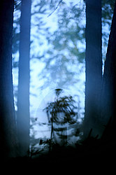 ������ ����, �������������� ���������� ���, �����������