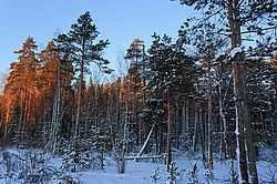 ������ ����, �������������� ���������� ���, �����������