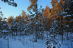 ������ ����, �������������� ���������� ���, �����������