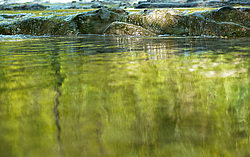 ����������� ��������, ���� �����������, ����������� ������, ������������� ����, ������