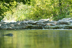 ����������� ��������, ���� �����������, ����������� ������, ������������� ����, ������