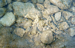 ����������� ��������, ���� �����������, ����������� ������, ������������� ����, ������