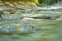 ����������� ��������, ���� �����������, ����������� ������, ������������� ����, ������