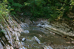 ����������� ��������, ���� �����������, ����������� ������, ������������� ����, ������