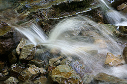 ����������� ��������, ���� �����������, ����������� ������, ������������� ����, ������