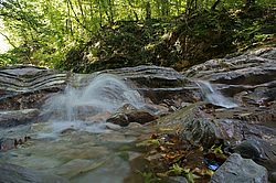 ����������� ��������, ���� �����������, ����������� ������, ������������� ����, ������