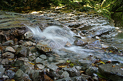 ����������� ��������, ���� �����������, ����������� ������, ������������� ����, ������