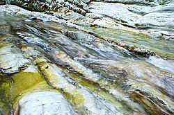 ����������� ��������, ���� �����������, ����������� ������, ������������� ����, ������