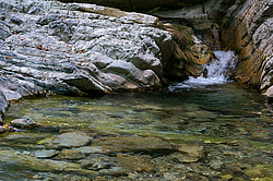 ����������� ��������, ���� �����������, ����������� ������, ������������� ����, ������