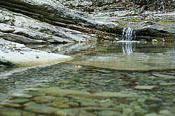 ����������� ��������, ���� �����������, ����������� ������, ������������� ����, ������