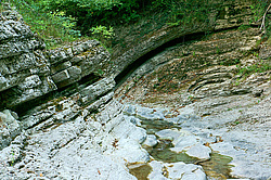 ����������� ��������, ���� �����������, ����������� ������, ������������� ����, ������