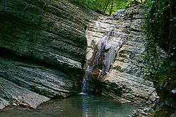 ����������� ��������, ���� �����������, ����������� ������, ������������� ����, ������