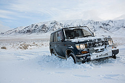 ���� ������ ������, ������ �����, ���������