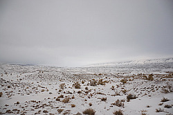 ���� ������ ������, ���������