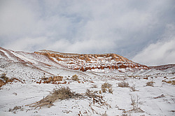 ���� ������ ������, ���������