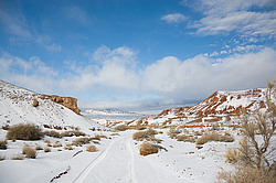 ���� ������ ������, ���������