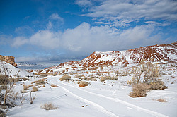 ���� ������ ������, ���������