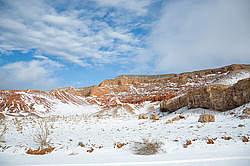 ���� ������ ������, ���������