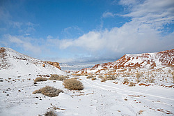 ���� ������ ������, ���������