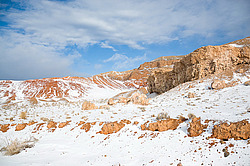 ���� ������ ������, ���������