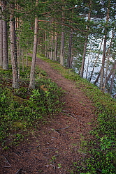 ������, ������� ���������