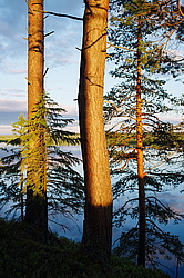 ������, ������� ���������