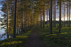 ������, ������� ���������